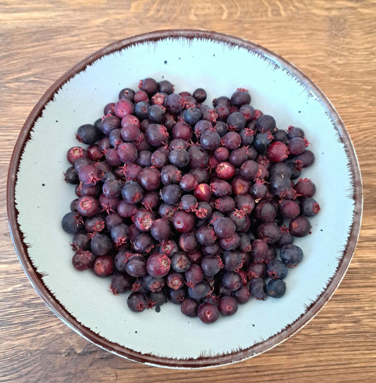 Świdośliwa - 250 g
